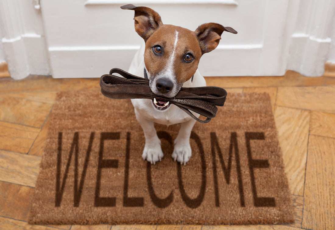 Welcome to Our New Site