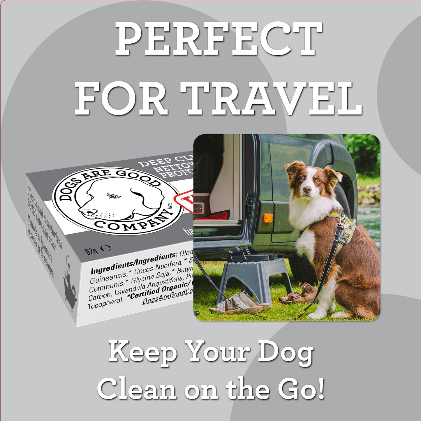 Dogs Are Good Company DEEP CLEAN 92g Bar